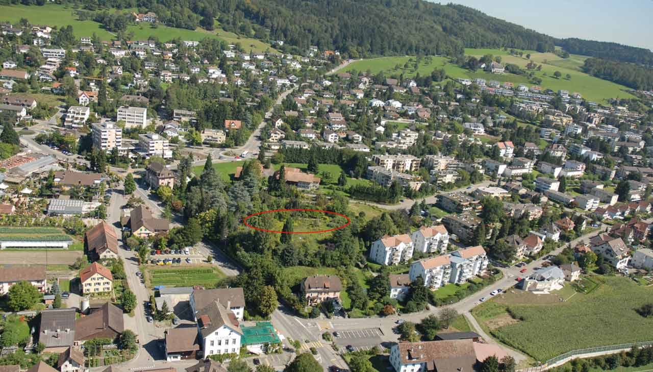 Dahlienpark, die ruhige Oase an zentraler Lage, im Hingergrund die W&auml;lder des Gubrist